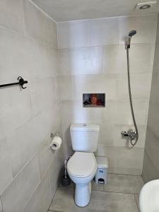 a bathroom with a toilet and a shower at Rigas stone tower east Mani 1 in Mína