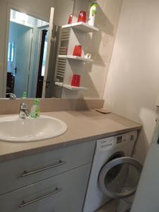a bathroom with a sink and a washing machine at Appartement 2 pièces près des thermes in Bagnoles de l'Orne