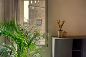 une plante assise à côté d'une fenêtre dans une pièce dans l'établissement Do POMI Suite, à Trévise