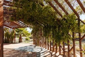 una fila de árboles en un edificio con techo en Hotel Los Amantes Valle de Guadalupe en Valle de Guadalupe