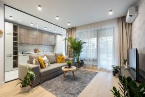 ブカレストにあるBOTANlQUE 1BR in Business Centreのソファとテレビのあるリビングルーム