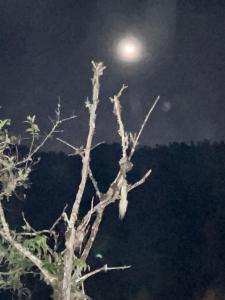 Fotografie z fotogalerie ubytování Rinconcito de Paz, Cedral, Pérez Zeledón v destinaci Cedral