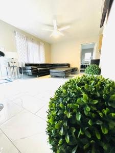 una sala de estar con una gran planta verde en 3 miles to Siesta Key #1 Beach in America en Sarasota