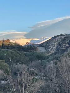 a view from the top of a hill with trees at Río Genil in Pinos Genil