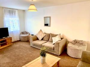 Televiisor ja/või meelelahutuskeskus majutusasutuses The Old Jolly