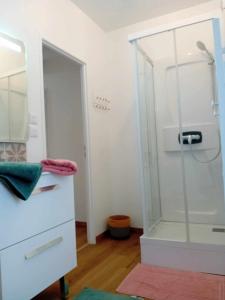 uma casa de banho com um chuveiro e uma cómoda branca em Gite Ferme du Marronnier em Graincourt