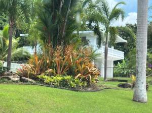 En trädgård utanför Casita Colinas Del Yunque