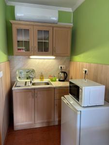 a small kitchen with a sink and a microwave at Horvath Vendeghaz in Hegyeshalom