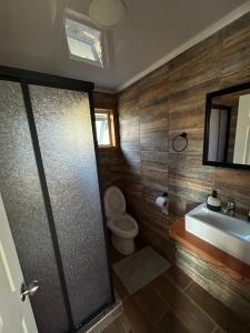 uma casa de banho com um WC, um lavatório e um espelho. em Cabañas Lakü em Ñilque