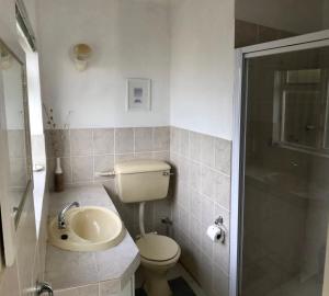 a bathroom with a toilet and a sink and a shower at Above the Sea in Fish hoek