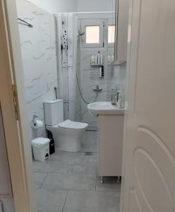 La salle de bains blanche est pourvue de toilettes et d'un lavabo. dans l'établissement Καταλύματα ως ολόκληρος χώρος. Οικοδεσπότης: Νίκος, à Flórina