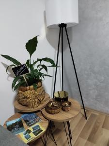 una stanza con due tavoli con piante e una lampada di Jaz Apartman a Bajina Bašta