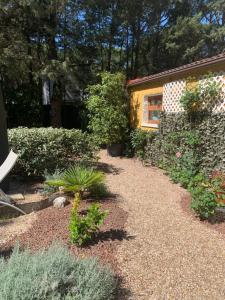 um jardim com algumas plantas e um edifício em Villa Lujosa con piscina privada 9x5 em Valladolid