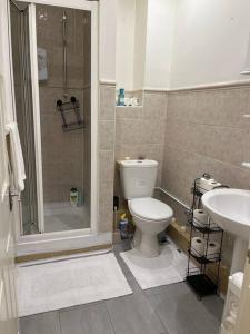 a bathroom with a shower and a toilet and a sink at Cosy two bedroom flat in London