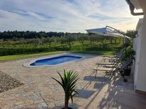 a patio with a pool and chairs and an umbrella at Villa Ana in Posedarje +20 photos
