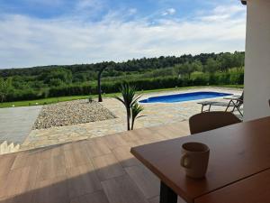 a patio with a swimming pool and a table and a table at Villa Ana in Posedarje