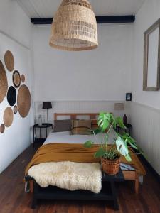 a bedroom with a bed and a potted plant at La maison Benastre in Saint-Étienne-de-Corcoué