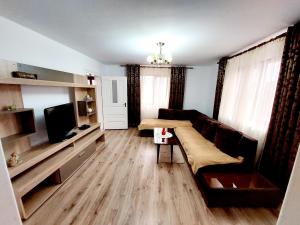 布澤烏的住宿－Casuta de sub munte，带沙发和电视的客厅