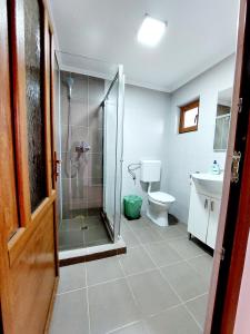 a bathroom with a shower and a toilet and a sink at Casuta de sub munte in Buzau