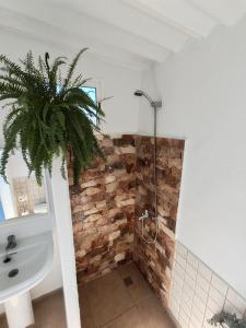 baño con ducha y pared de piedra. en Casa rural con piscina climatizada en Icod de los Vinos