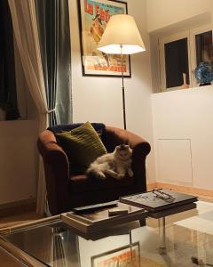 a cat laying on a chair in a living room at Les chambres de sainte barbe in Plougasnou