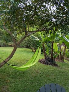 una hamaca verde colgando de un árbol en un patio en Les poinsettias en Les Trois-Îlets