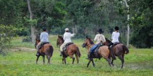 een groep mensen die paardrijden in een veld bij Pousada Araras Pantanal Eco Lodge in Carvoalzinho