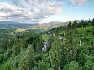 an aerial view of a house in the middle of a forest at Forest Hub in Slavske