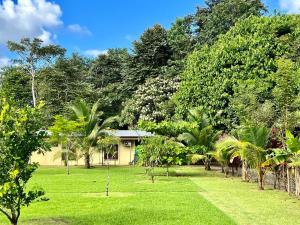 una casa en medio de un patio con árboles en Casa Ceiba, en Puerto Jiménez