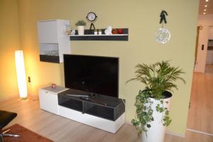 salon z telewizorem z płaskim ekranem i rośliną w obiekcie Ferienwohnung Vera w mieście Georgensgmünd
