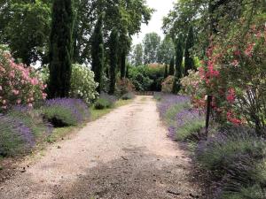 uma estrada de terra num jardim com flores roxas em Spacieux Mas Provençale em Sarrians