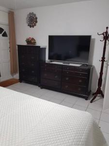 a bedroom with a tv and a dresser with a bed at The Garden Apartment in Philipsburg