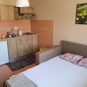 um quarto com uma cama e uma cozinha com um lavatório em Luksuzni Apartmani Mitić-Mint em Sokobanja