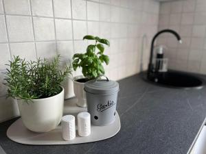 dos macetas y una taza de café en una barra de cocina en Ilmarise Apartment en Viljandi