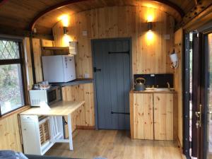 eine Küche mit Holzwänden und einer blauen Tür in der Unterkunft Fronfetyn in Aberystwyth