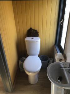 a bathroom with a toilet and a sink at Fronfetyn in Aberystwyth