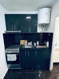 a kitchen with dark green cabinets and a sink at Amazing 1 bed Flat in Craiova