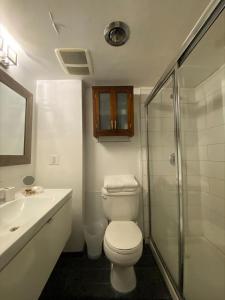 La salle de bains est pourvue de toilettes, d'un lavabo et d'une douche. dans l'établissement Condo in Downtown, à Vancouver