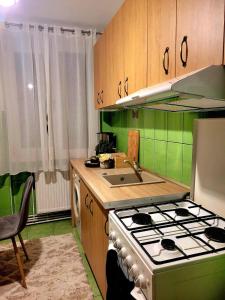 a green kitchen with a stove and a sink at Apartament Velana in Reşiţa