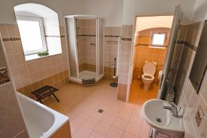 a bathroom with a toilet and a shower and a sink at Cottage Prameny in Prameny