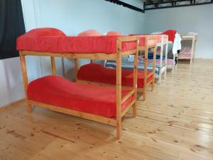 a group of bunk beds in a room at Big Hostel in El Bolsón