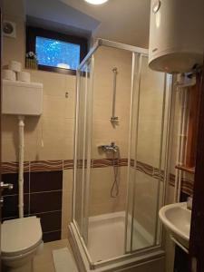 a bathroom with a shower and a toilet at Apartman sa terasom Vila Mina Kopaonik in Kopaonik