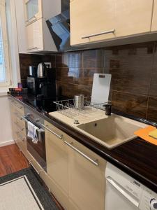 a kitchen with a sink and a counter top at Comfort Humboldt Apartment in Vienna +9 photos