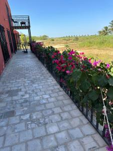 Chez Diarra في سانت-لويس: حديقة بها زهور وردية على السياج