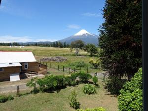 a mountain in the distance with a house and a tree at La Posada del Colono in Puerto Clocker