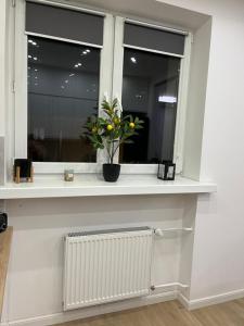 een vensterbank met een potplant en een radiator bij Nowoczesny apartament z przestronną łazienką in Stalowa Wola