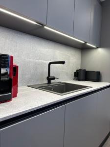 A kitchen or kitchenette at Luxury Apartment, Kaisergebirge