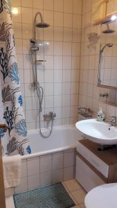 a bathroom with a shower and a tub and a sink at Fewo-Harlachberg-Blick-1 in Bodenmais