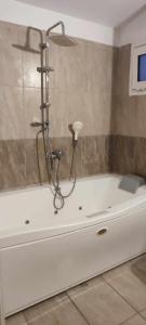 a bath tub with a shower in a bathroom at Lion Apartment in Limenas