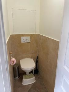 a small bathroom with a toilet and a mirror at Risoul 1850 Beau Duplex pour 6 pers en plein centre de la station in Risoul